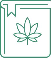 Выращивание марихуаны: чем удобрять и поливать коноплю